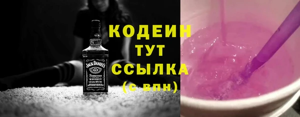 крисы Абаза