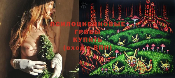 ПСИЛОЦИБИНОВЫЕ ГРИБЫ Алексин