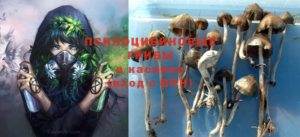 Альфа ПВП Алзамай