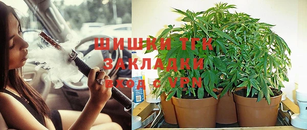 ПСИЛОЦИБИНОВЫЕ ГРИБЫ Алексин