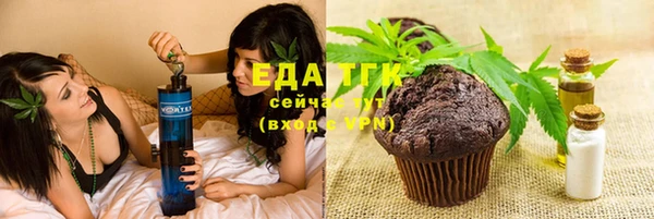 крисы Абаза