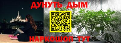 PSILOCYBIN Бийск