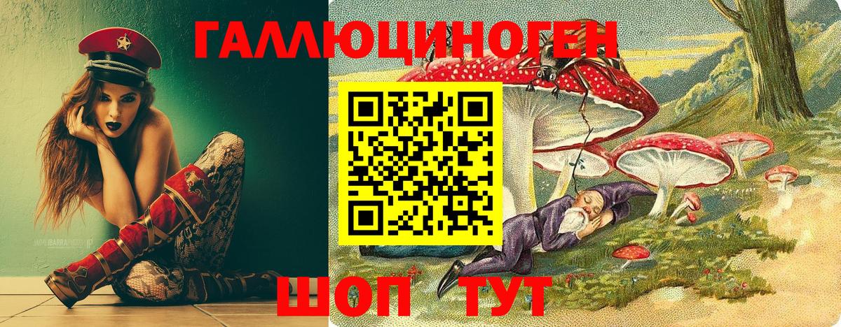 Псилоцибиновые грибы Psilocybe Домодедово